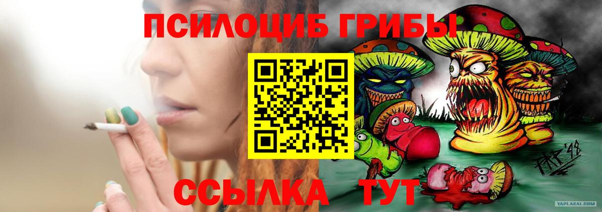 Приморско-Ахтарск  Галлюциногенные грибы Magic Shrooms  купить  сайты  Вход с VPN 